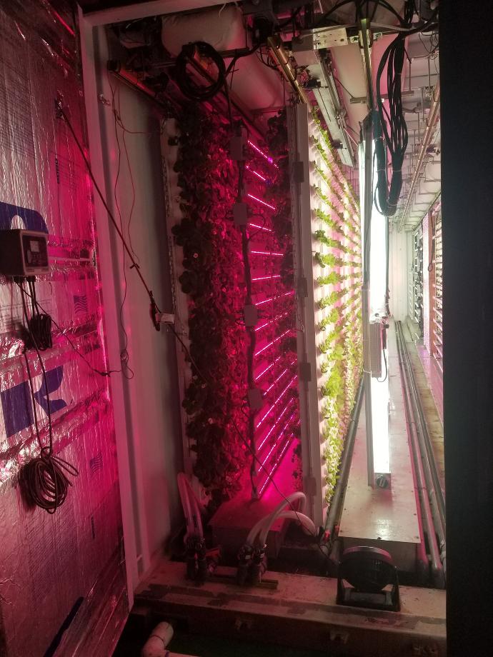 Vertical Farm Lighting and Environmental Control, Whittier, CA